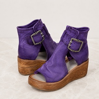 Viola